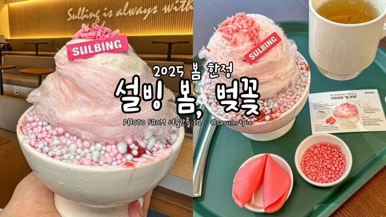 2025櫻花雪冰봄한정벚꽃설빙Spring LimitedSulbingCherryBlossomBingsu