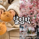 首爾聖水小熊麵包달임막Dalimak성수 서울Seongsu Seoul