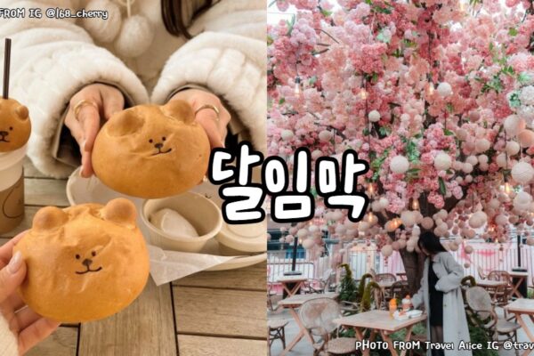 首爾聖水洞 │ 달임막(Dalimak)萌翻天!🐻小熊麵包 + 夢幻粉紅花樹🌸(서울성수 달임막 │ Dalimak in Seongsu Seoul) 首爾聖水小熊麵包달임막Dalimak성수 서울Seongsu Seoul