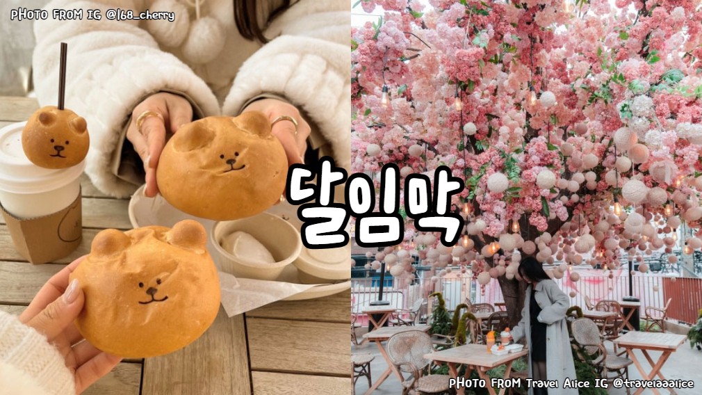 首爾聖水小熊麵包달임막Dalimak성수 서울Seongsu Seoul